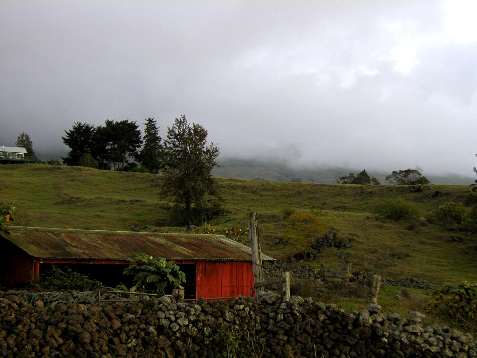 Rolling green Upcountry Maui pasture with a lava-rock wall, an old red barn and misty Haleakala slopes